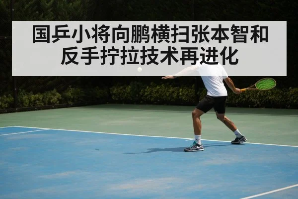 国乒小将向鹏横扫张本智和 反手拧拉技术再进化